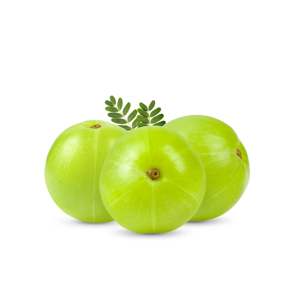 Ayurvedic Hair Loss Solutions: Ancient Remedies for Modern Americans 3 Amla 1