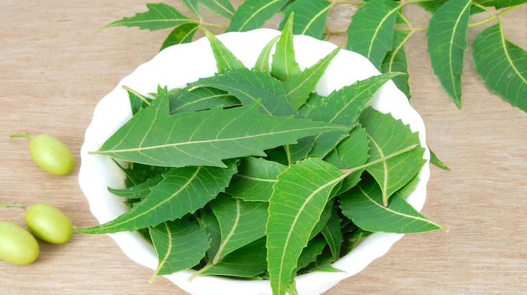 Ayurvedic Hair Loss Solutions: Ancient Remedies for Modern Americans 4 Health benefits of neem