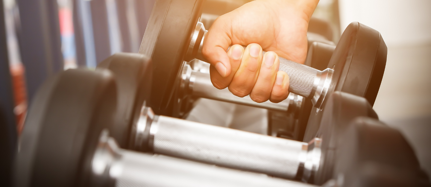 Fitness Lifestyle 2025