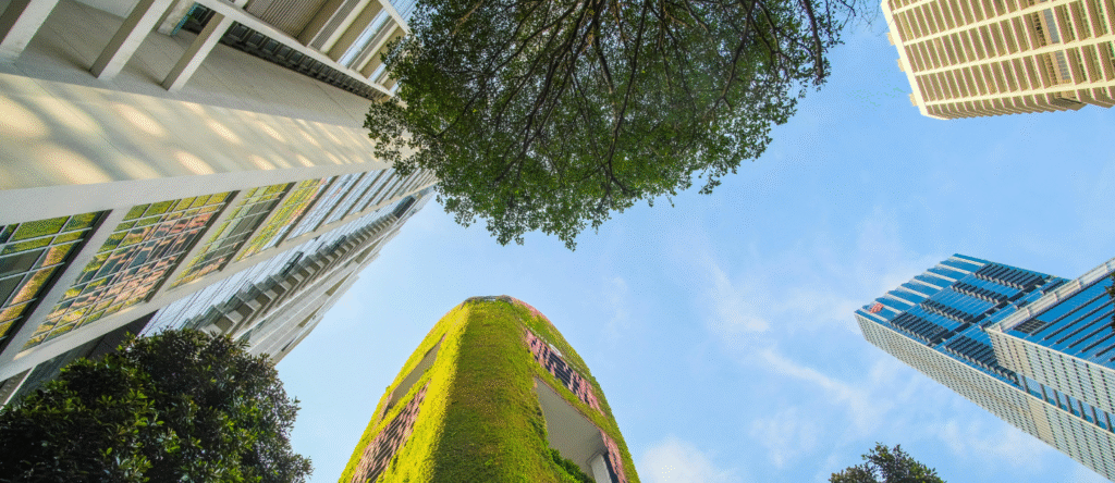 Sustainable Travel