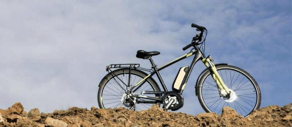 Electric Bike Trends