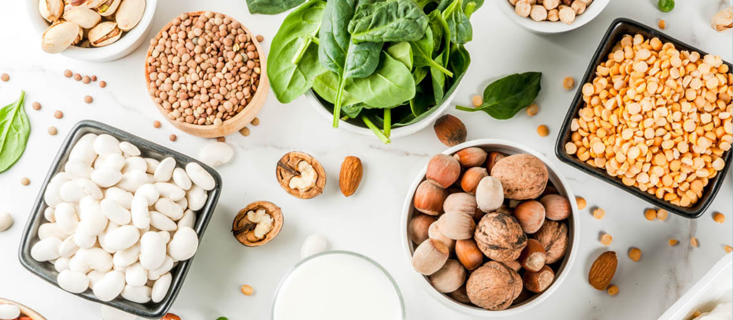 Plant-Based Protein