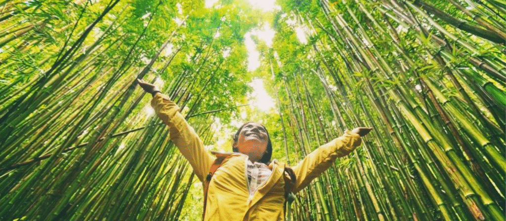Sustainable Travel
