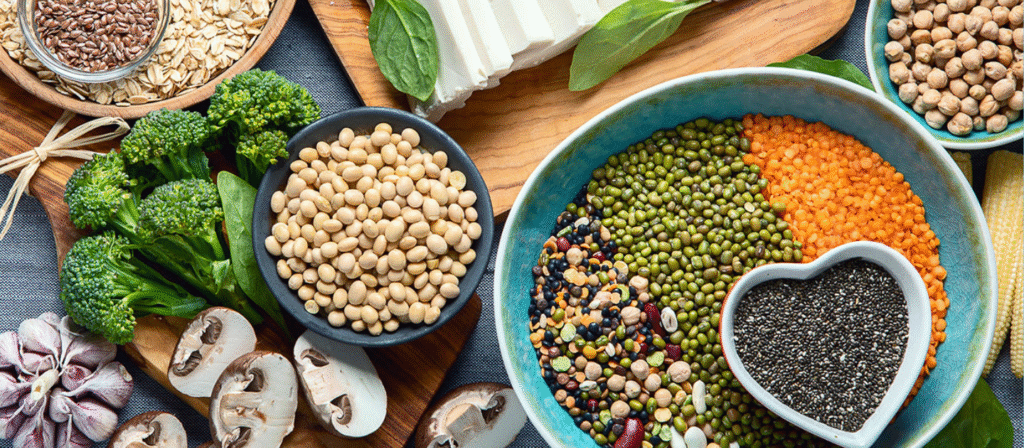 Plant-Based Protein