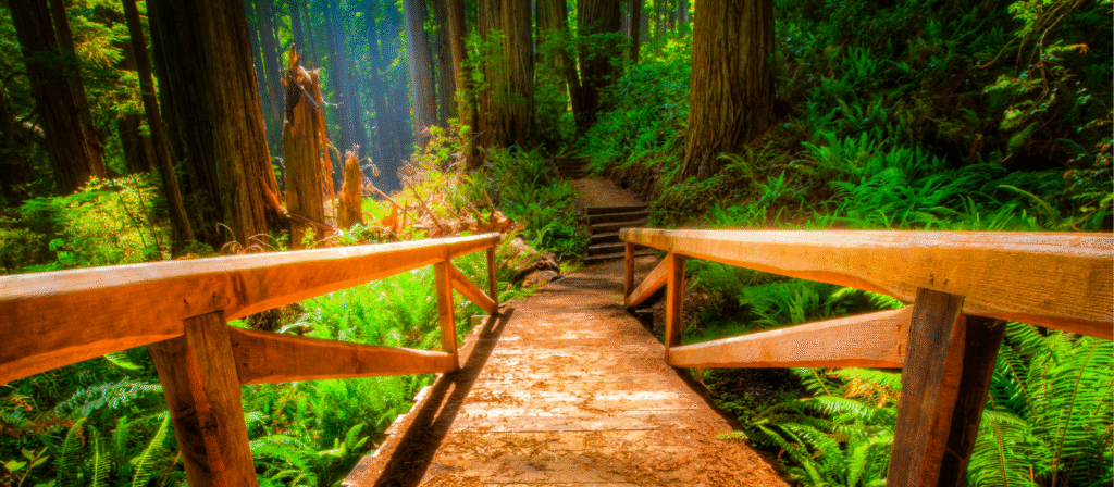 Hiking Destinations 2025