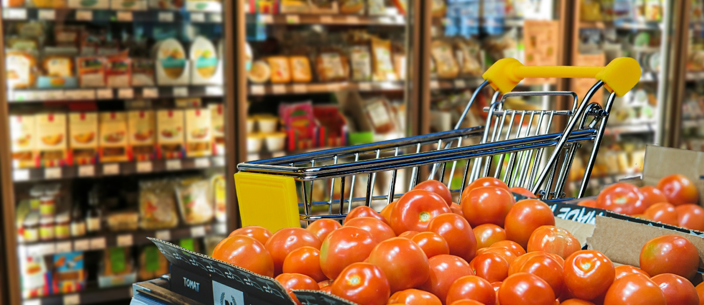 Grocery Costs USA