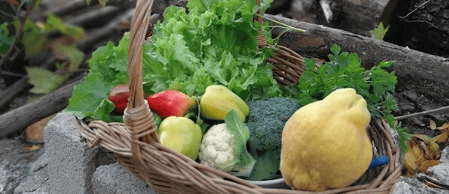Seasonal Cooking