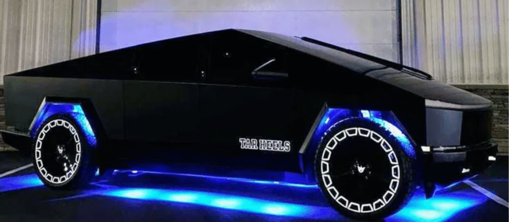 Teslaa Lions