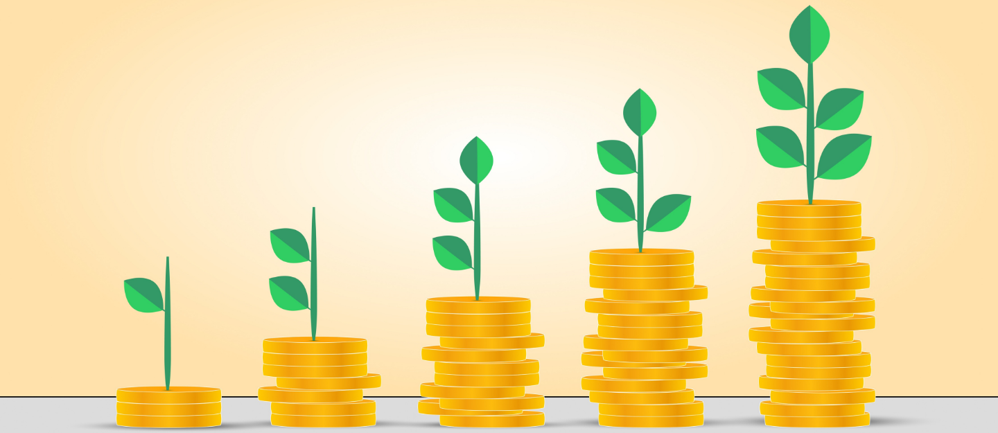 Beginner Investing